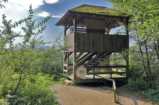Naturbeobachtungsturm Ganszipfel  Foto: Claus Linke