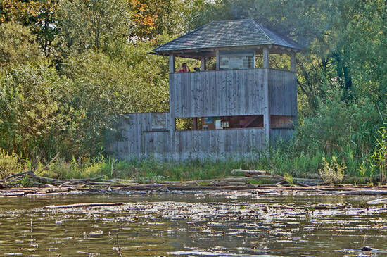 Naturbeobachtungsturm Hirschauer Bucht  Foto: Dirk Alfermann