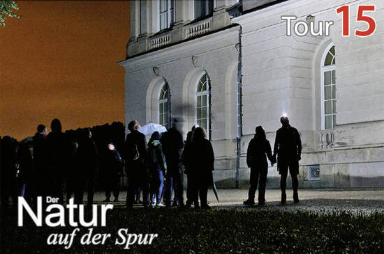 Vor dem Schloss  Foto: LAMA