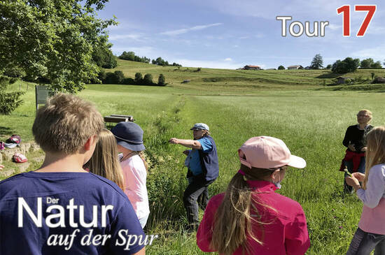 Während einer Führung  Foto: Nikola Bichler