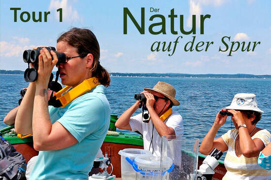 Foto: Sebastian Grießl