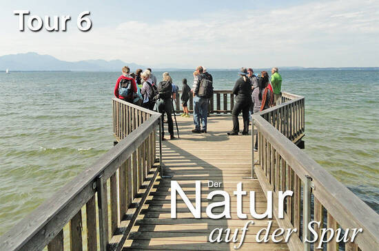 Foto: Chiemsee Naturführer