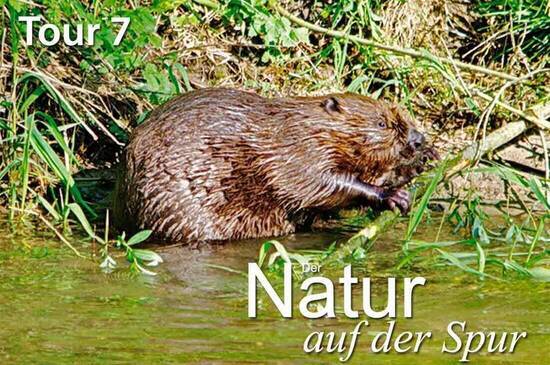 Foto: Sebastian Grießl