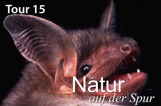Foto: Andreas Zahn